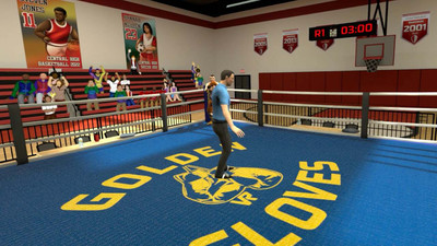 четвертый скриншот из Golden Gloves VR