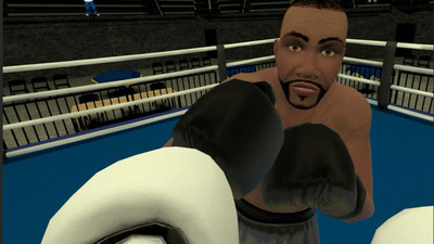 третий скриншот из Golden Gloves VR