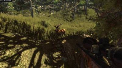 второй скриншот из Hunter's Trophy 2: Australia