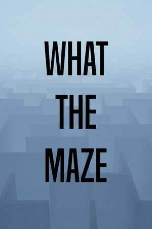 What The Maze What The Maze