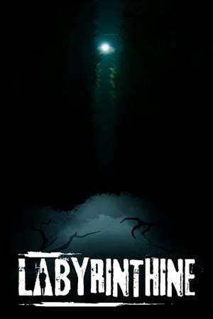 Labyrinthine Labyrinthine