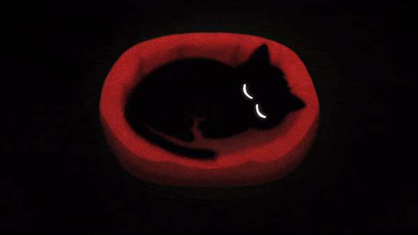 Inky's Sleep