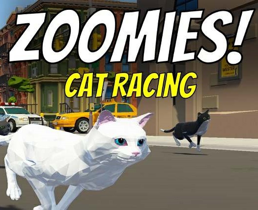 Zoomies! Cat Racing Zoomies! Cat Racing
