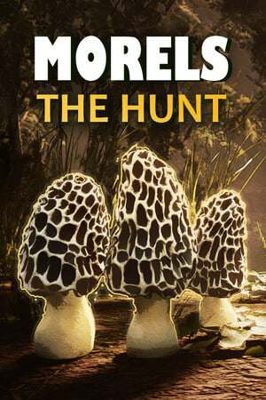 Morels The Hunt Morels The Hunt