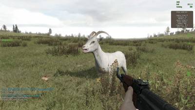 третий скриншот из Arma 2: DayZ