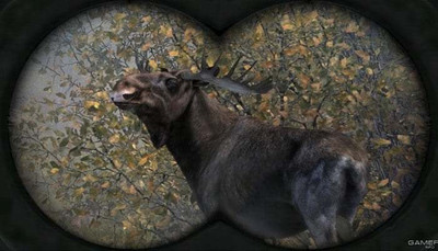 второй скриншот из Cabela's Big Game Hunter: Pro Hunts