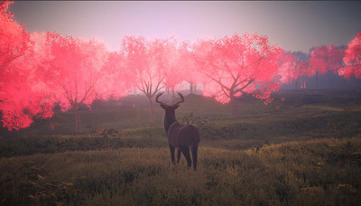 первый скриншот из Legacy: the last pure heart