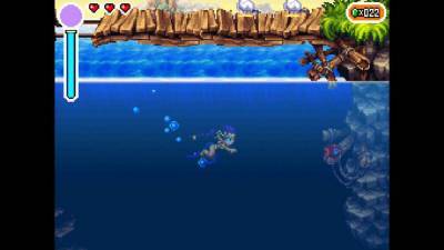 второй скриншот из Shantae: Risky's Revenge