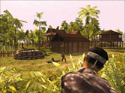 второй скриншот из Joint Operations: Typhoon Rising