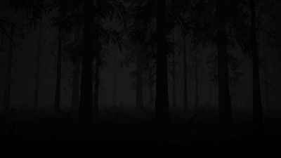 первый скриншот из Study of Unusual: Forest of Secrets