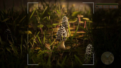 четвертый скриншот из Morels The Hunt Spring