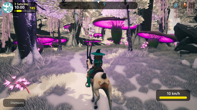 третий скриншот из The Witch of Fern Island