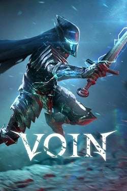 VOIN DEMO