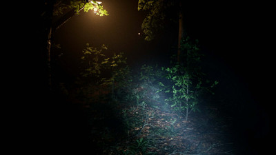 второй скриншот из Exanimum: The Silent Call