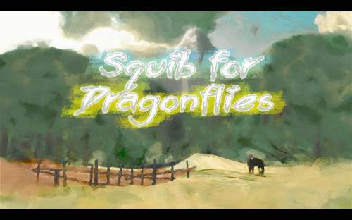 Squib For Dragonflies