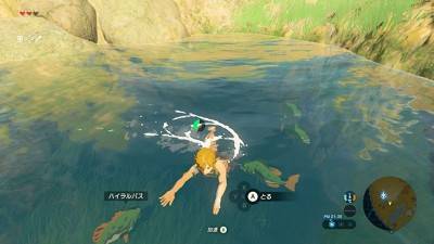 первый скриншот из Legend of Zelda: Breath of the Wild