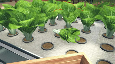четвертый скриншот из Hydroponics Farm & Store Simulator DEMO
