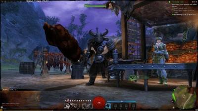 первый скриншот из Guild Wars 2