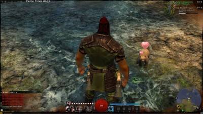 второй скриншот из Guild Wars 2