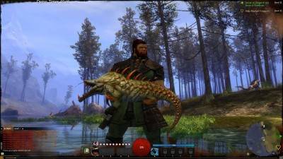 четвертый скриншот из Guild Wars 2