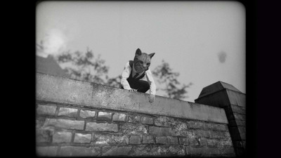 третий скриншот из Cat Detective Albert Wilde