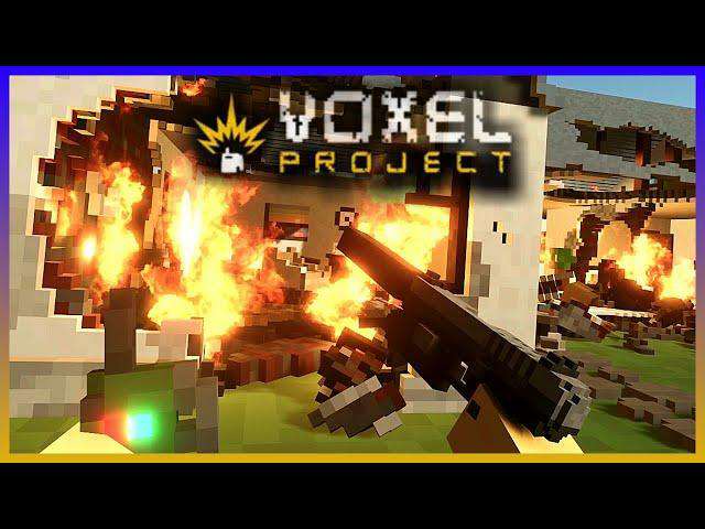 Voxel Project VR