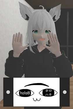holo8