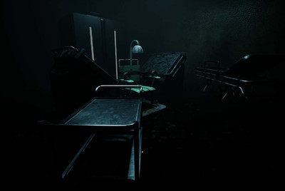 первый скриншот из Forest Asylum