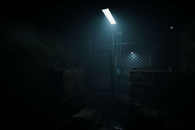 четвертый скриншот из Forest Asylum