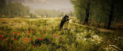 четвертый скриншот из Animal Simulator