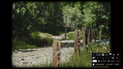 четвертый скриншот из Lushfoil Photography Sim