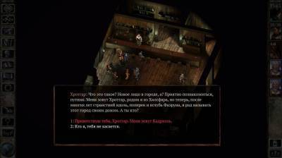 первый скриншот из Icewind Dale