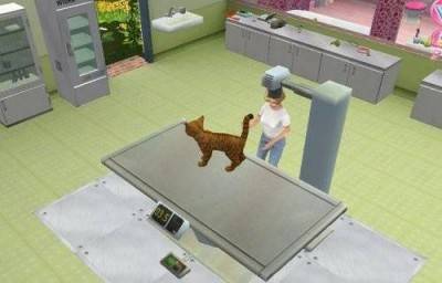 третий скриншот из Animal Hospital / Мои любимцы