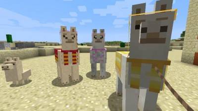третий скриншот из Minecraft