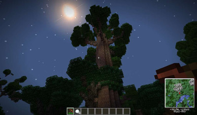 четвертый скриншот из Minecraft - Twilight Forest