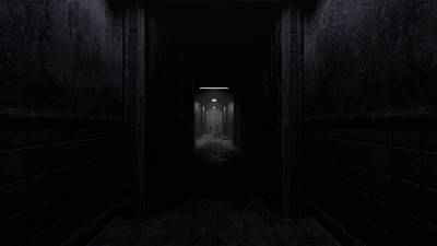 второй скриншот из Rise of Insanity