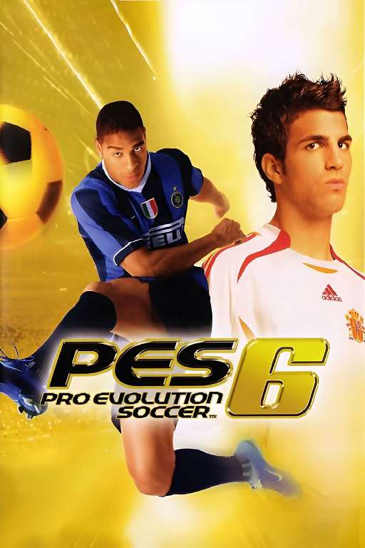 Pro Evolution Soccer 6: Полный набор для игры в интернете (Deemaz Patch)