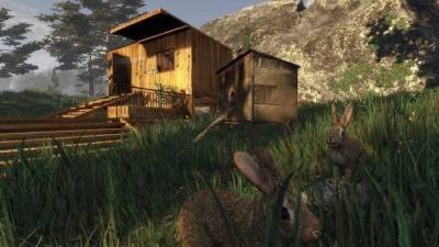 четвертый скриншот из Subsistence