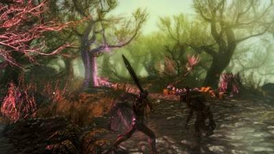 первый скриншот из Enderal: The Shards of Order