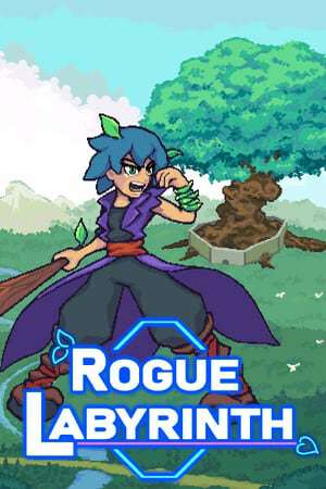 Rogue Labyrinth Rogue Labyrinth