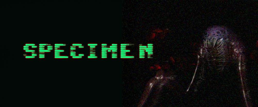 SPECIMEN BETA