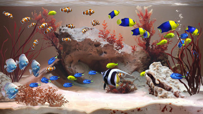 третий скриншот из Zen Aquarium