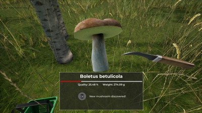 первый скриншот из Mushroom Hunter World