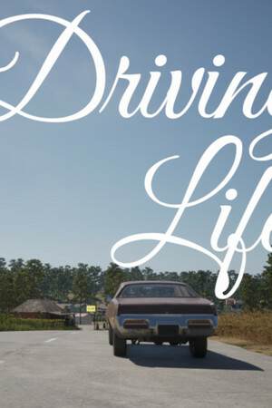 Driving Life Driving Life