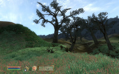 второй скриншот из Mods The Elder Scrolls IV: MorrOblivion
