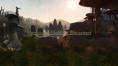 первый скриншот из Mods 6 Лучших Модов на TES 4: Oblivion
