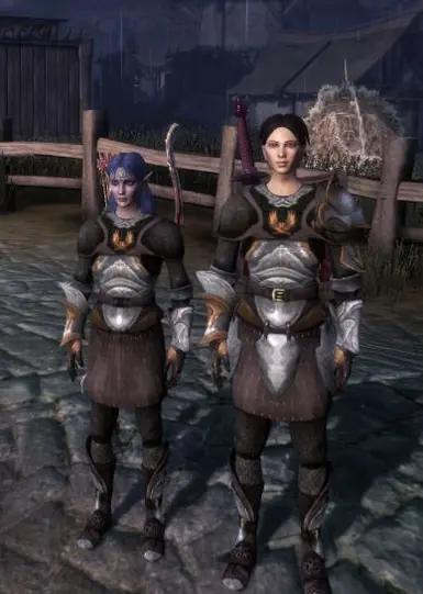Mods Dragon Age Origins моды