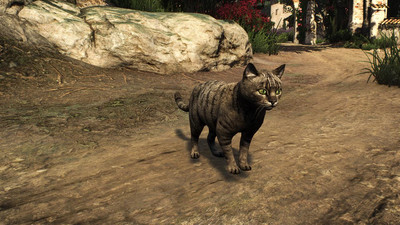 второй скриншот из Mods The Witcher 3 HD Animals Reworked