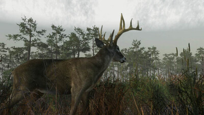 первый скриншот из Deer Hunting Camp