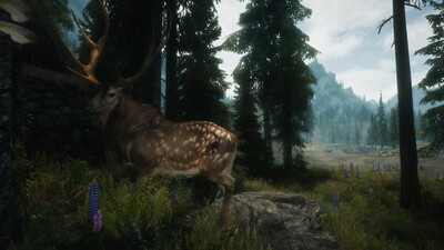 третий скриншот из Skyrim: The Journey (The Elder Scrolls V)